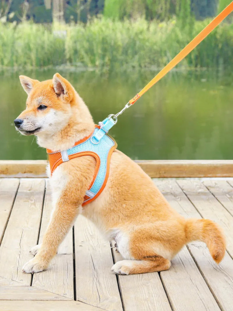 Breathable Chest Strap for Dogs, Puppy Vest Harness, Hand Leash, Suitable for Small and Medium-Sized Dogs to Walk the Dog